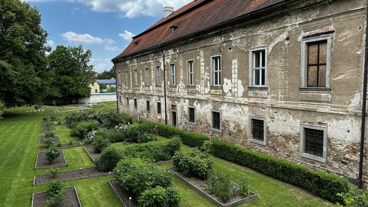 Na zámku v Nebílovech rozkvetly slavné růže