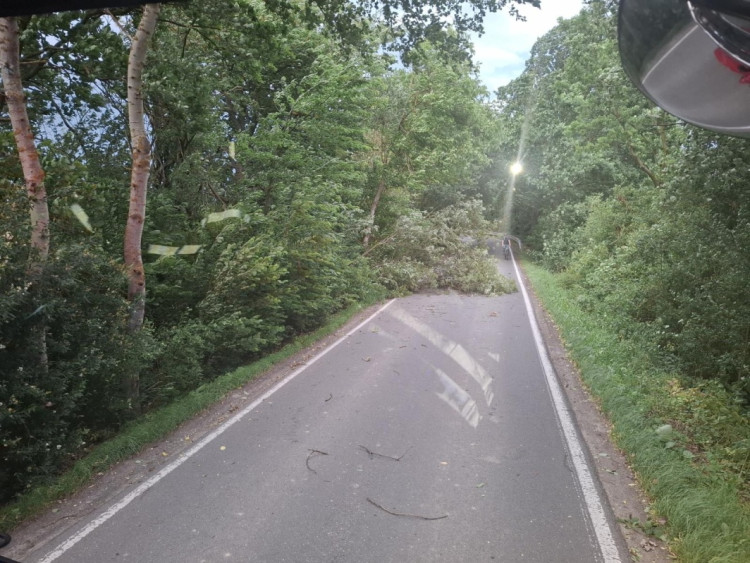 FOTOGALERIE: Poškozená auta i ploty. Hasiči řešili následky silných bouřek