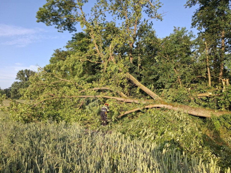 FOTOGALERIE: Poškozená auta i ploty. Hasiči řešili následky silných bouřek