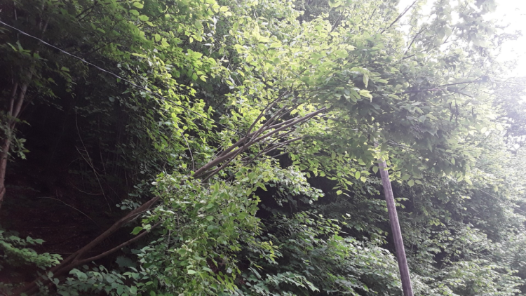 FOTOGALERIE: Poškozená auta i ploty. Hasiči řešili následky silných bouřek