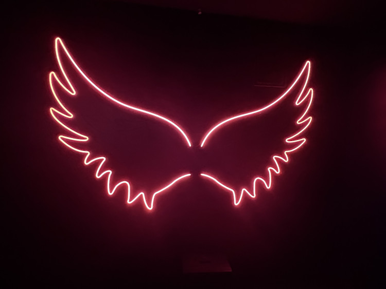 FOTOGALERIE: Svět naruby v centru Brna. Nové muzeum iluzí láká na optické triky a zrcadla