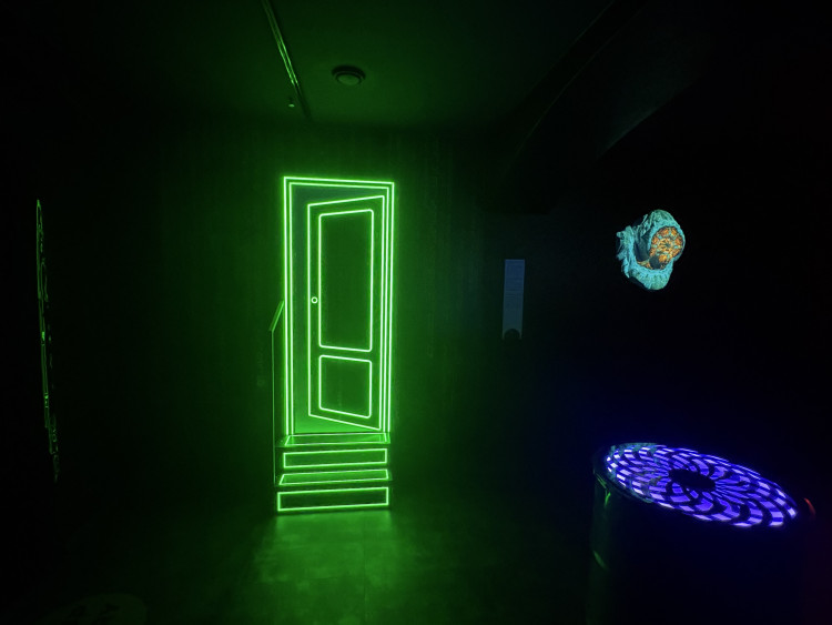 FOTOGALERIE: Svět naruby v centru Brna. Nové muzeum iluzí láká na optické triky a zrcadla