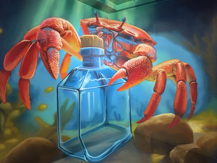 FOTOGALERIE: Svět naruby v centru Brna. Nové muzeum iluzí láká na optické triky a zrcadla