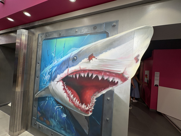 FOTOGALERIE: Svět naruby v centru Brna. Nové muzeum iluzí láká na optické triky a zrcadla