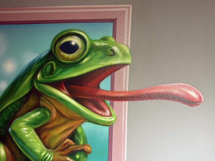 FOTOGALERIE: Svět naruby v centru Brna. Nové muzeum iluzí láká na optické triky a zrcadla