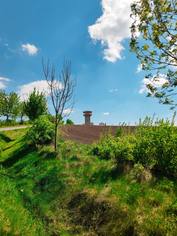 FOTOGALERIE: Rozhledna v Tučíně byla otevřená loni na podzim