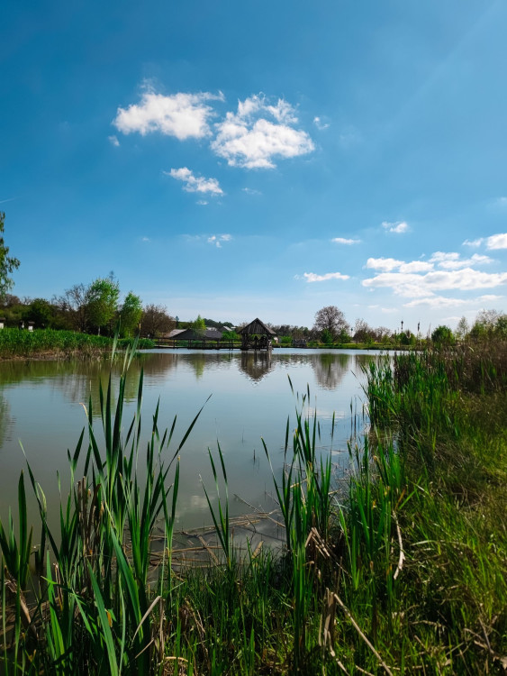 FOTOGALERIE: Rozhledna v Tučíně byla otevřená loni na podzim
