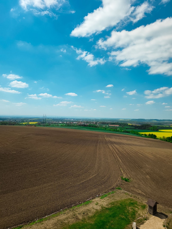 FOTOGALERIE: Rozhledna v Tučíně byla otevřená loni na podzim