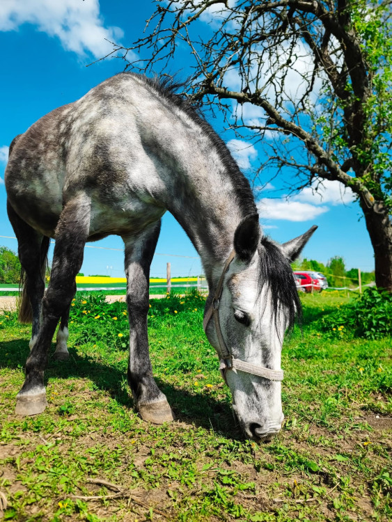 FOTOGALERIE: Rozhledna v Tučíně byla otevřená loni na podzim