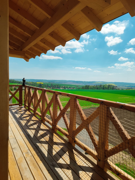 FOTOGALERIE: Rozhledna v Tučíně byla otevřená loni na podzim