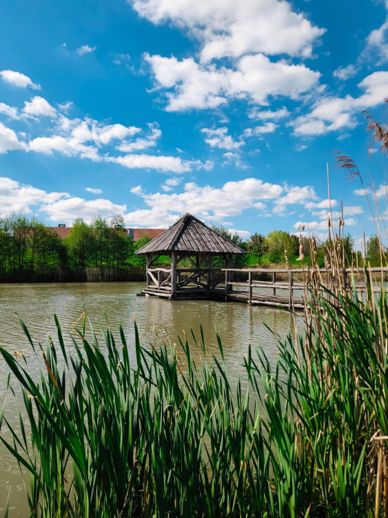 FOTOGALERIE: Rozhledna v Tučíně byla otevřená loni na podzim