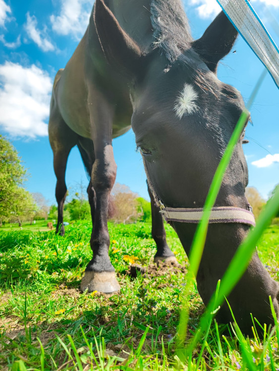 FOTOGALERIE: Rozhledna v Tučíně byla otevřená loni na podzim