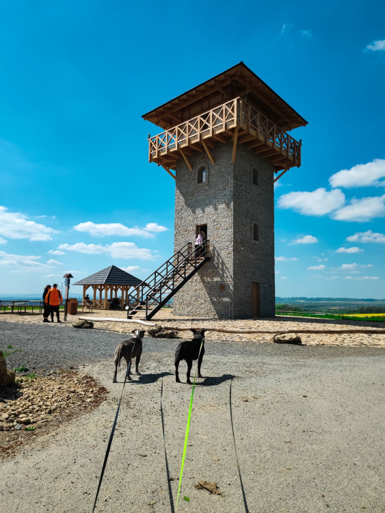 FOTOGALERIE: Rozhledna v Tučíně byla otevřená loni na podzim