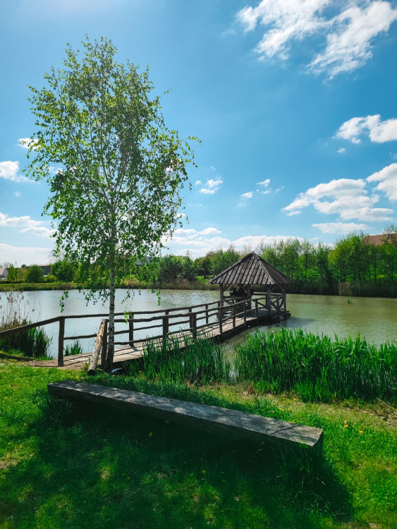 FOTOGALERIE: Rozhledna v Tučíně byla otevřená loni na podzim