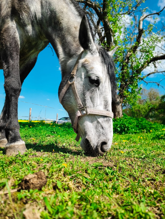 FOTOGALERIE: Rozhledna v Tučíně byla otevřená loni na podzim