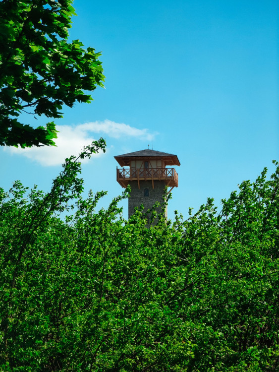 FOTOGALERIE: Rozhledna v Tučíně byla otevřená loni na podzim