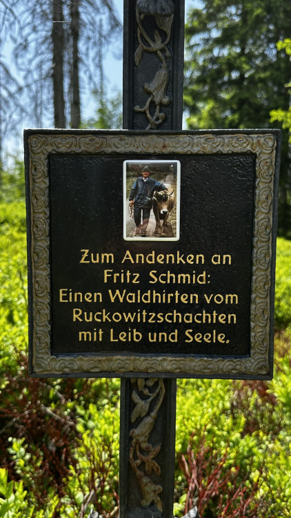 Vysokohorská pastvina v Bavorském lese