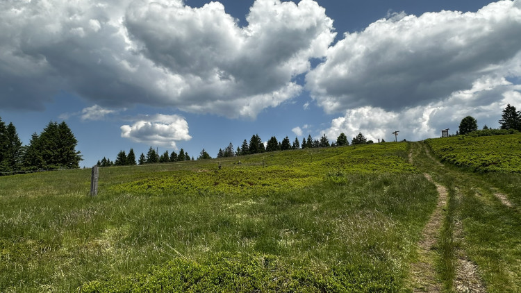 Vysokohorská pastvina v Bavorském lese
