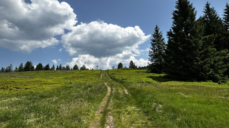 Vysokohorská pastvina v Bavorském lese