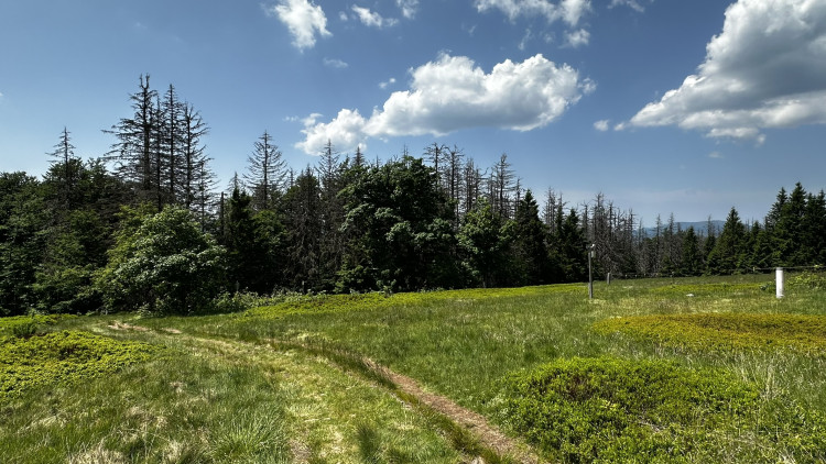 Vysokohorská pastvina v Bavorském lese