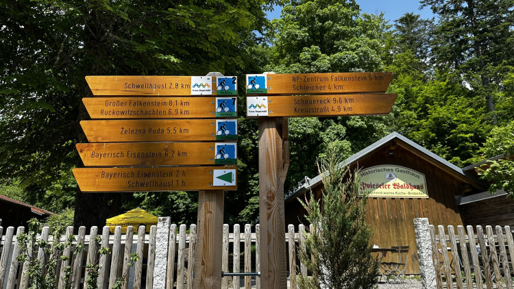 Vysokohorská pastvina v Bavorském lese