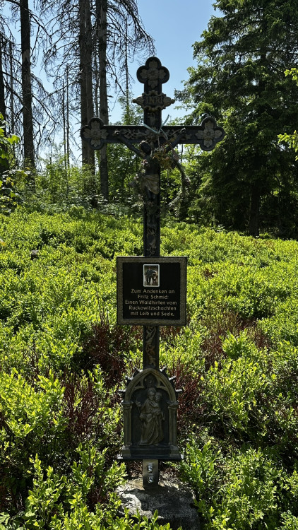 Vysokohorská pastvina v Bavorském lese