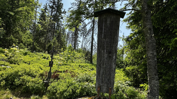 Vysokohorská pastvina v Bavorském lese