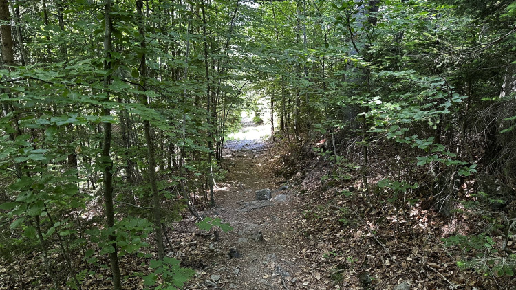 Vysokohorská pastvina v Bavorském lese