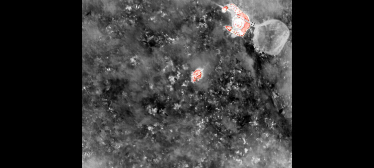 Letos jsme zachránili 111 srnčat před sečí, popisuje myslivec Roman Okrouhlý