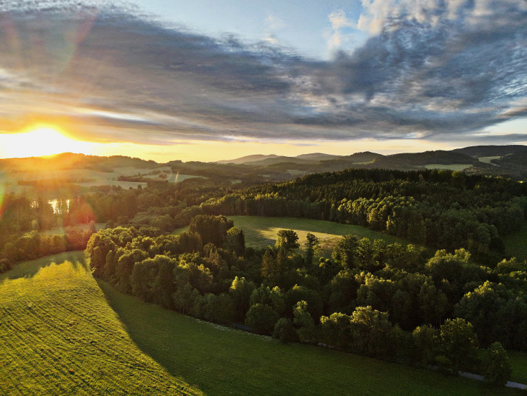 Letos jsme zachránili 111 srnčat před sečí, popisuje myslivec Roman Okrouhlý