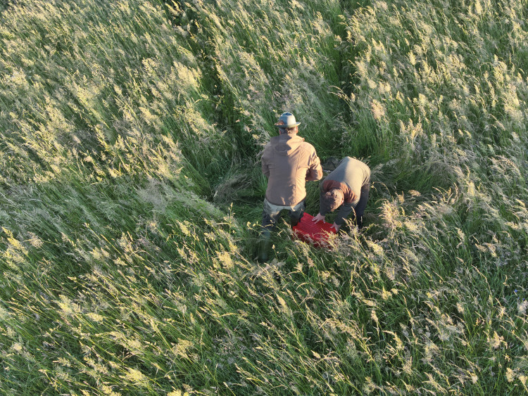 Letos jsme zachránili 111 srnčat před sečí, popisuje myslivec Roman Okrouhlý
