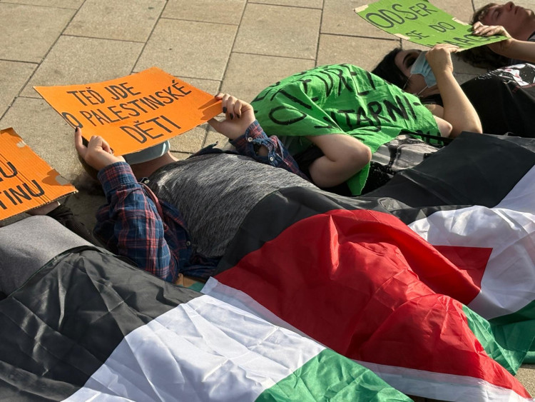 FOTOGALERIE: Klobásy i rvačka mezi aktivisty. Fialova grilovačka v Brně se vyostřila