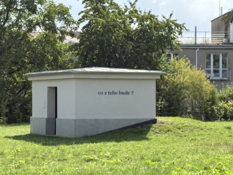 FOTOGALERIE: Sochy v Brně proměnily okolí Žlutého kopce v galerii