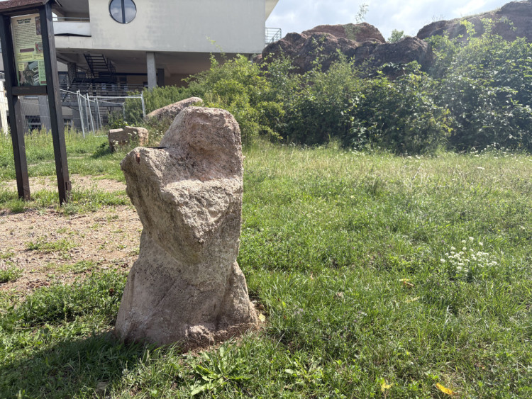 FOTOGALERIE: Sochy v Brně proměnily okolí Žlutého kopce v galerii