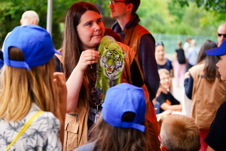 FOTO: Pražská zoo má nového tygra, má rád krvavé nanuky a parfém Chanel