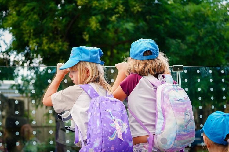 FOTO: Pražská zoo má nového tygra, má rád krvavé nanuky a parfém Chanel