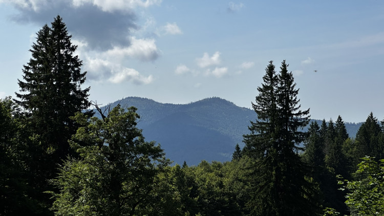 Objevte malý šumavský Yellowstone