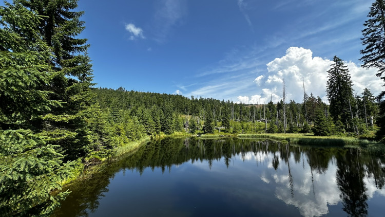 Objevte malý šumavský Yellowstone