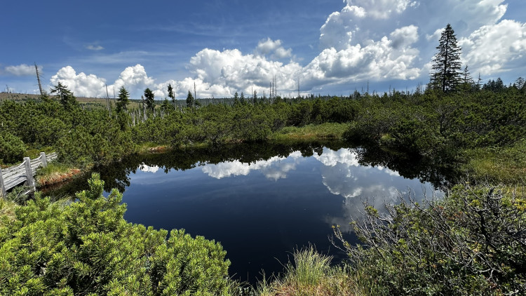 Objevte malý šumavský Yellowstone
