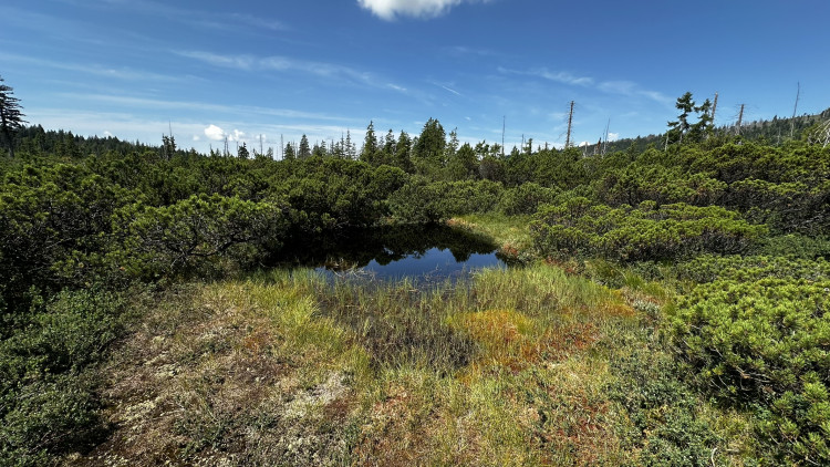 Objevte malý šumavský Yellowstone