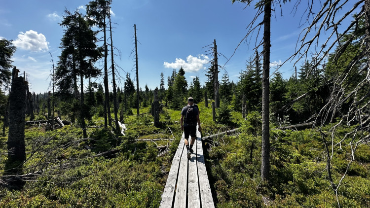 Objevte malý šumavský Yellowstone