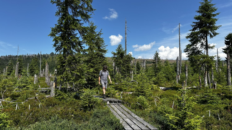 Objevte malý šumavský Yellowstone