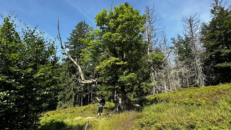 Objevte malý šumavský Yellowstone