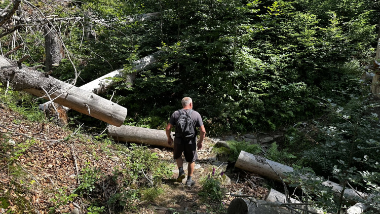 Objevte malý šumavský Yellowstone