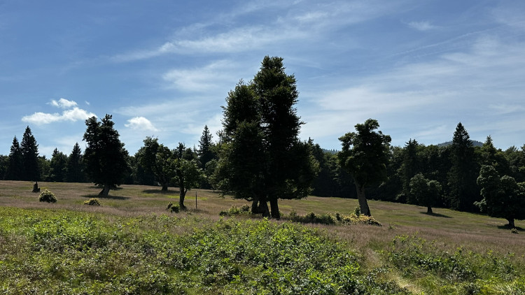 Objevte malý šumavský Yellowstone