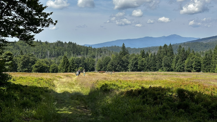 Objevte malý šumavský Yellowstone