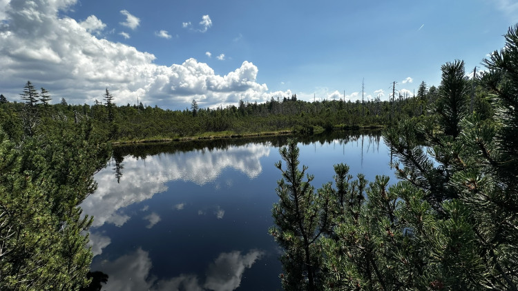 Objevte malý šumavský Yellowstone