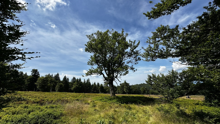 Objevte malý šumavský Yellowstone