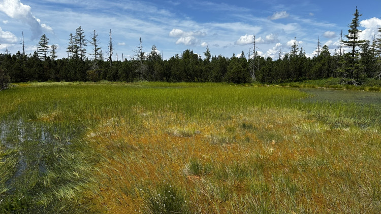 Objevte malý šumavský Yellowstone