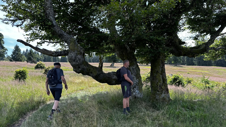 Objevte malý šumavský Yellowstone
